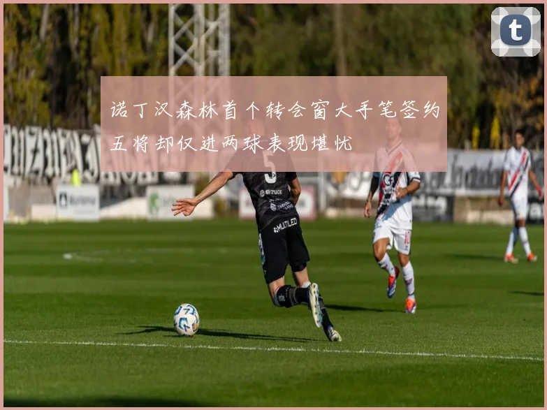 诺丁汉森林首个转会窗大手笔签约五将却仅进两球表现堪忧